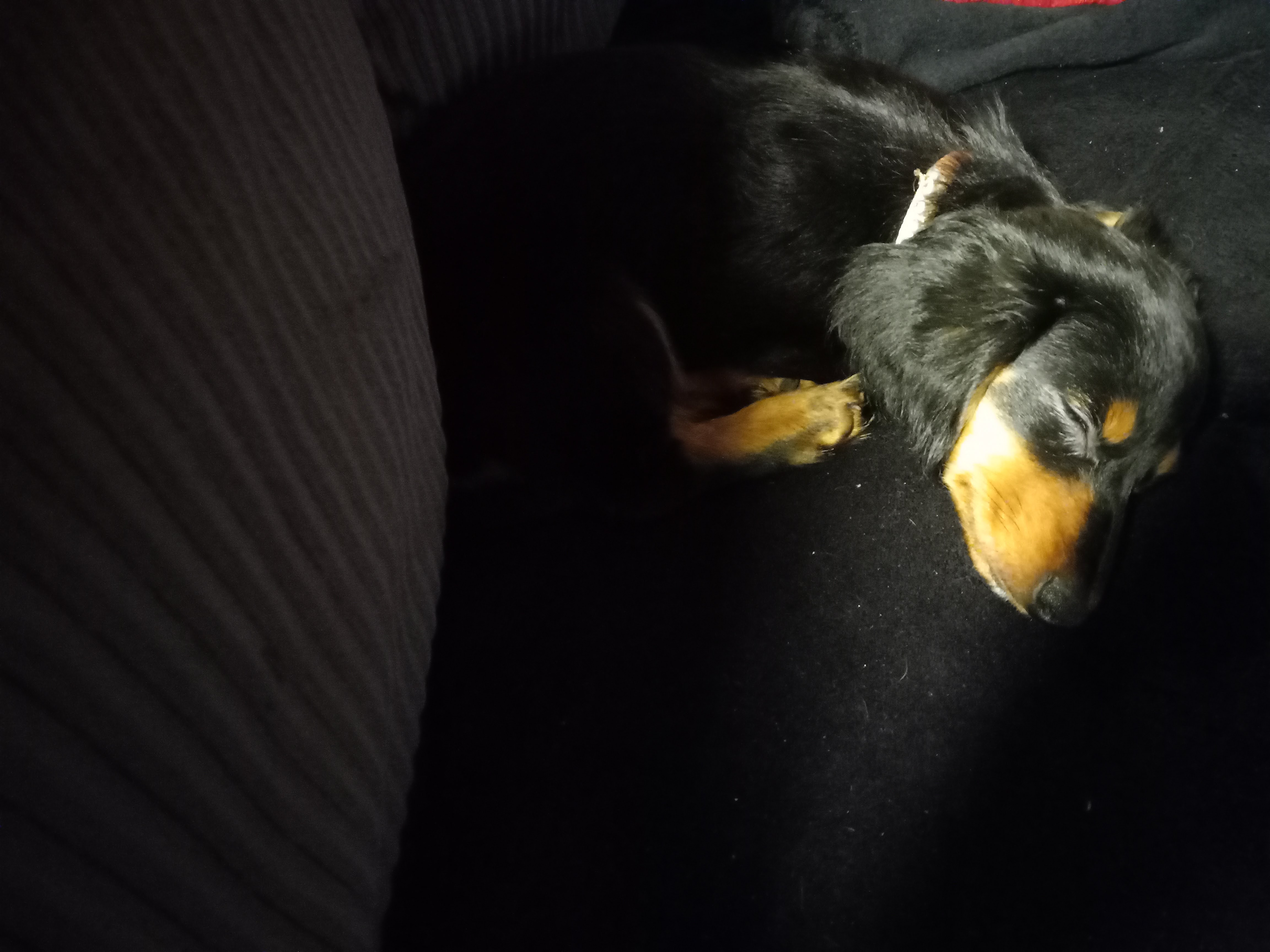 Poem: The Light of a New Tomorrow – Writing Through the Soul